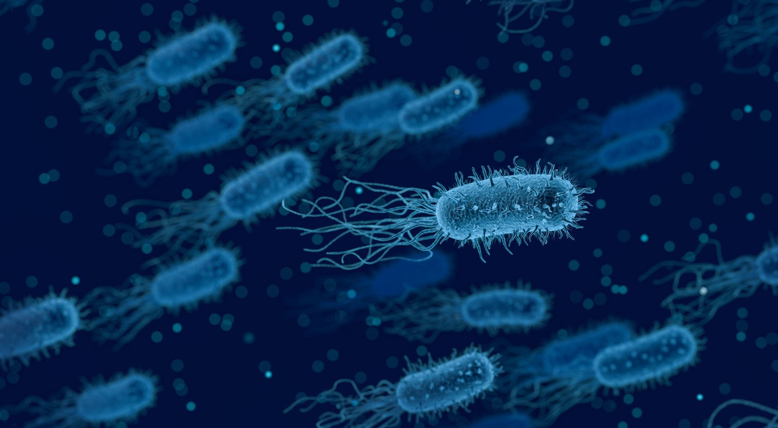 Bactria ca simbol pentru bolile venerice cu transmitere sexuală